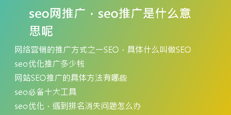 seo网推广,seo推广是什么意思呢