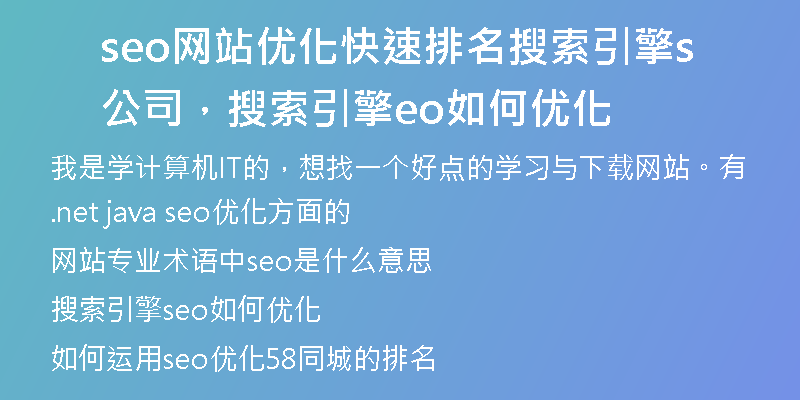 seo网站优化快速排名搜索引擎公司，搜索引擎seo如何优化