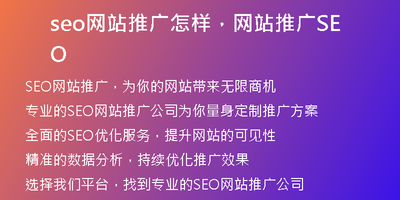 seo网站推广怎样，网站推广SEO