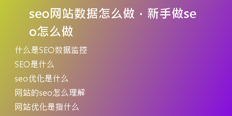 seo网站数据怎么做，新手做seo怎么做