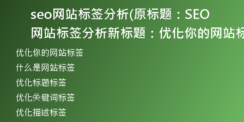 seo网站标签分析(原标题：SEO网站标签分析新标题：优化你的网站标签)