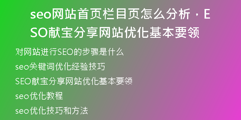 seo网站首页栏目页怎么分析，SEO献宝分享网站优化基本要领