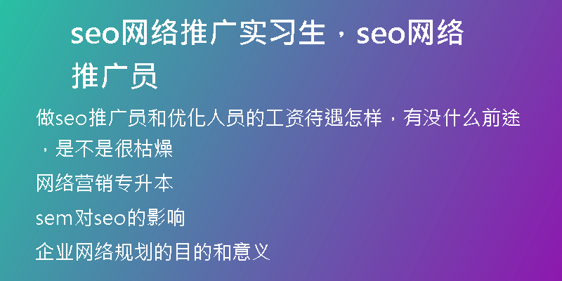 seo网络推广实习生，seo网络推广员
