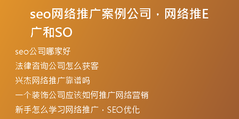 seo网络推广案例公司，网络推广和SEO