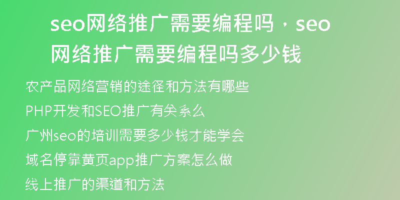 seo网络推广需要编程吗，seo网络推广需要编程吗多少钱