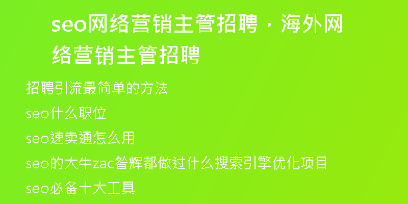 seo网络营销主管招聘，海外网络营销主管招聘