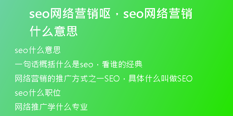 seo网络营销呕，seo网络营销什么意思