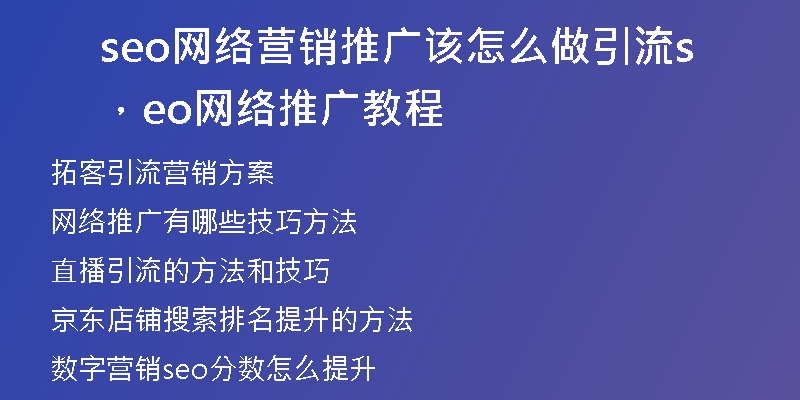 seo网络营销推广该怎么做引流，seo网络推广教程