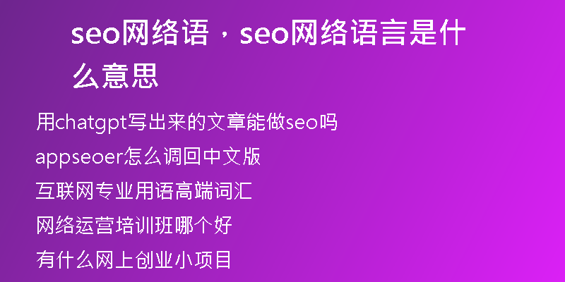 seo网络语,seo网络语言是什么意思