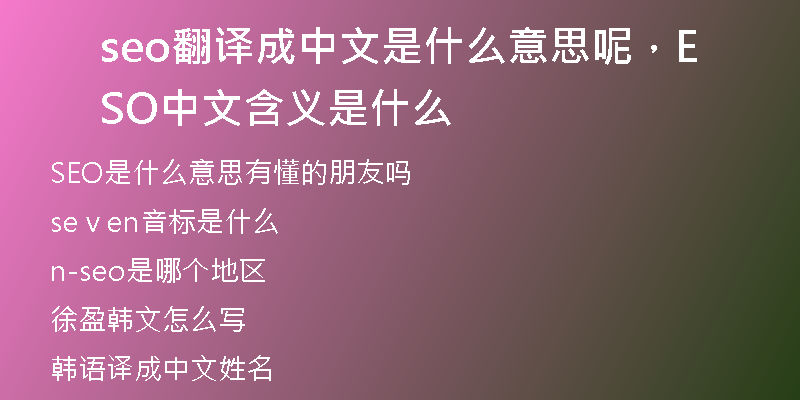 seo翻译成中文是什么意思呢，SEO中文含义是什么