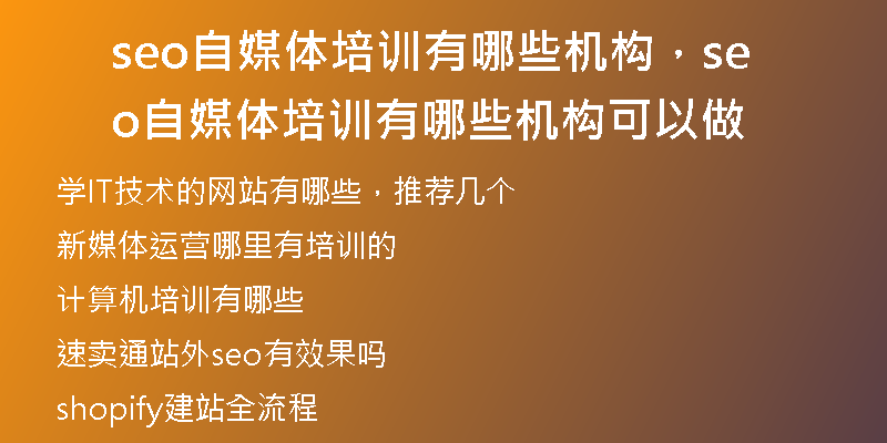 seo自媒体培训有哪些机构，seo自媒体培训有哪些机构可以做