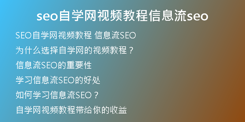 seo自学网视频教程信息流seo