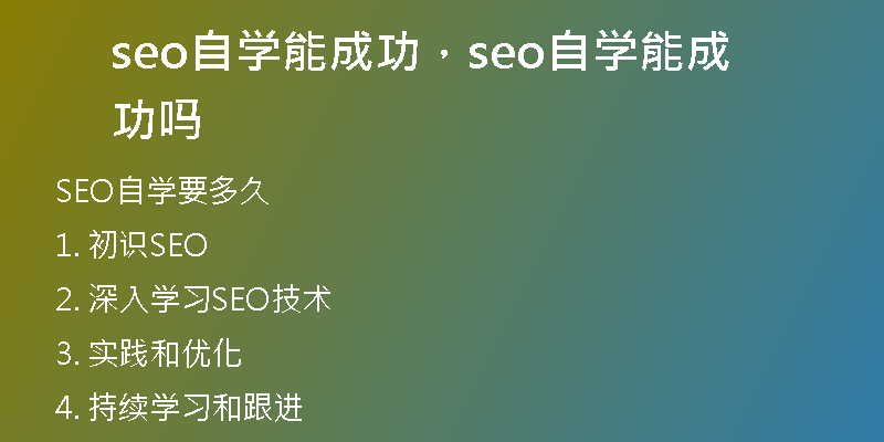 seo自学能成功,seo自学能成功吗