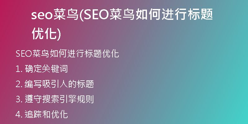 seo菜鸟(SEO菜鸟如何进行标题优化)