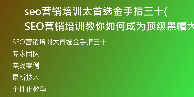 seo营销培训太首选金手指三十(SEO营销培训教你如何成为顶级黑帽大师)
