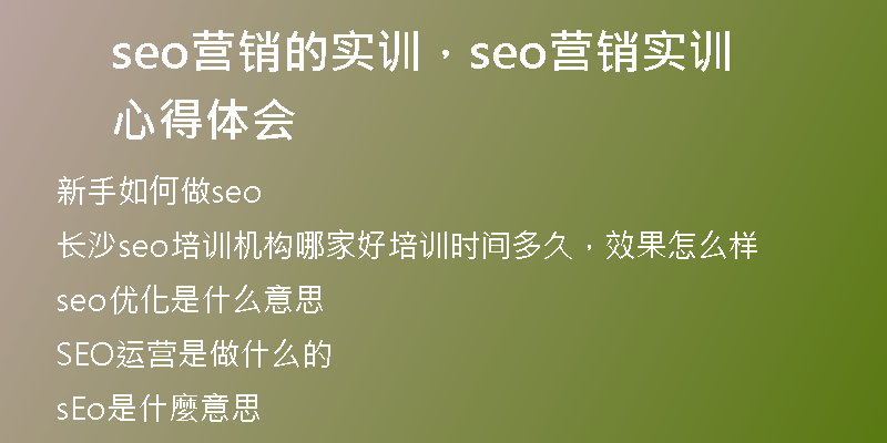 seo营销的实训，seo营销实训心得体会