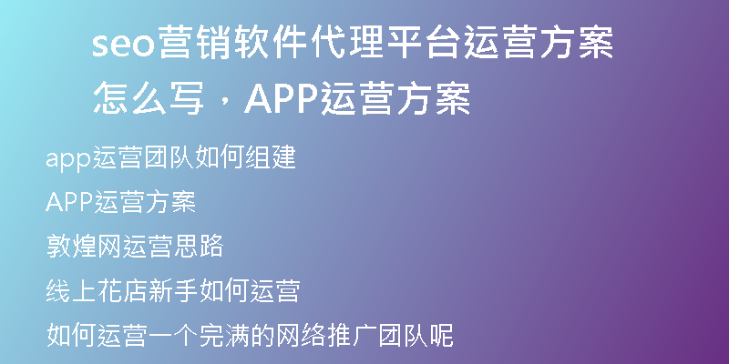 seo营销软件代理平台运营方案怎么写，APP运营方案