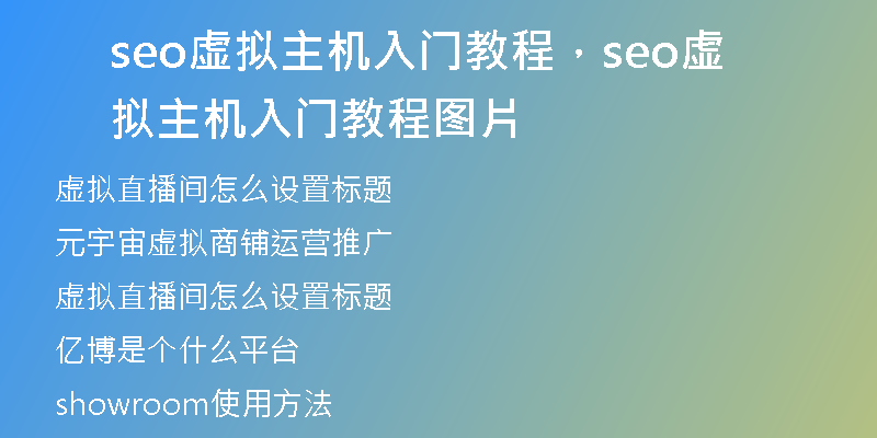 seo虚拟主机入门教程，seo虚拟主机入门教程图片