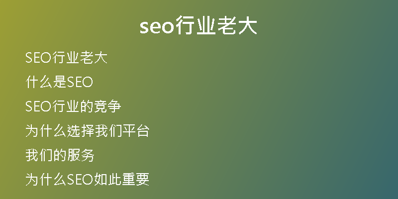 seo行业老大