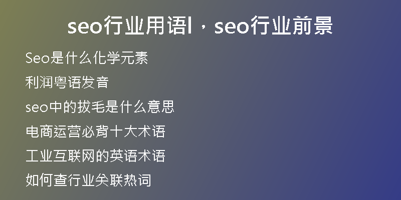 seo行业用语l，seo行业前景