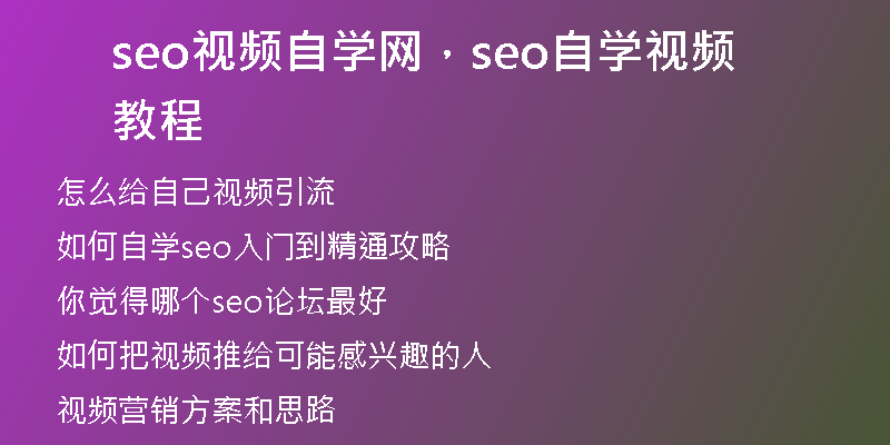 seo视频自学网，seo自学视频教程