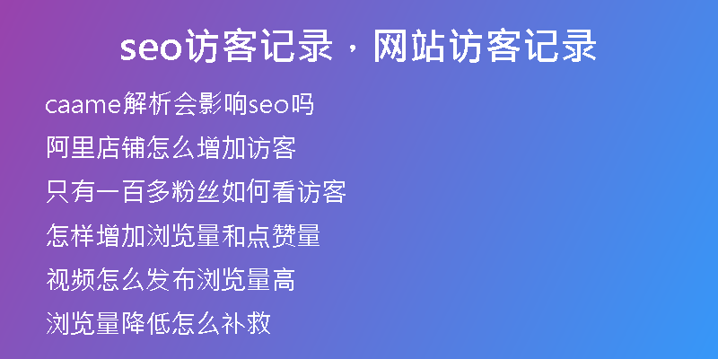seo访客记录，网站访客记录