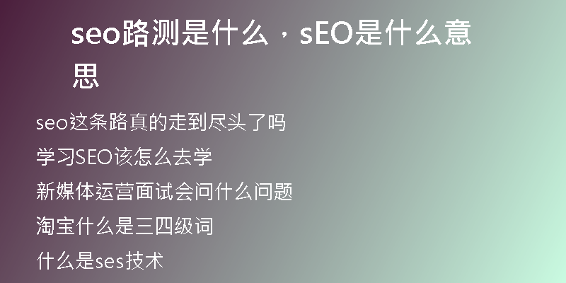 seo路测是什么,sEO是什么意思