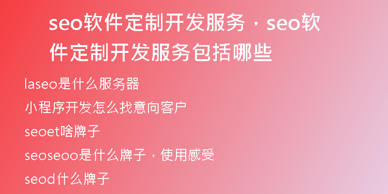 seo软件定制开发服务，seo软件定制开发服务包括哪些