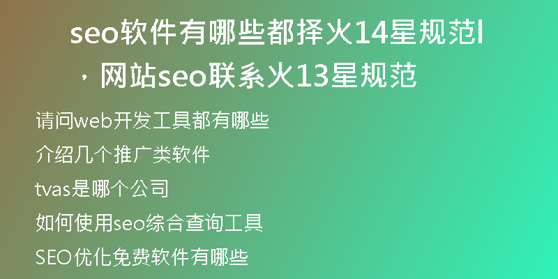 seo软件有哪些都择火14星规范,网站seo联系l火13星规范