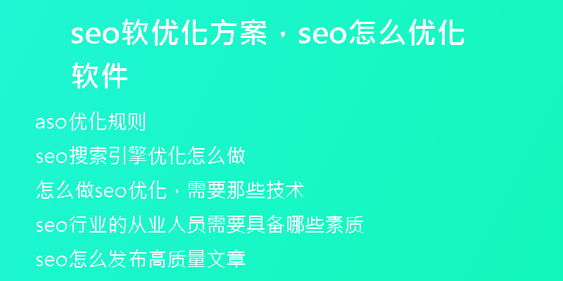 seo软优化方案,seo怎么优化软件