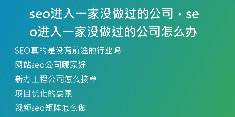 seo进入一家没做过的公司，seo进入一家没做过的公司怎么办