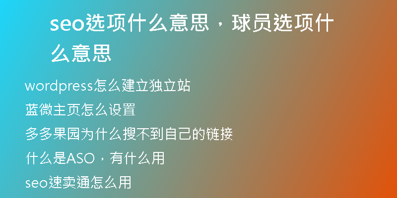 seo选项什么意思,球员选项什么意思