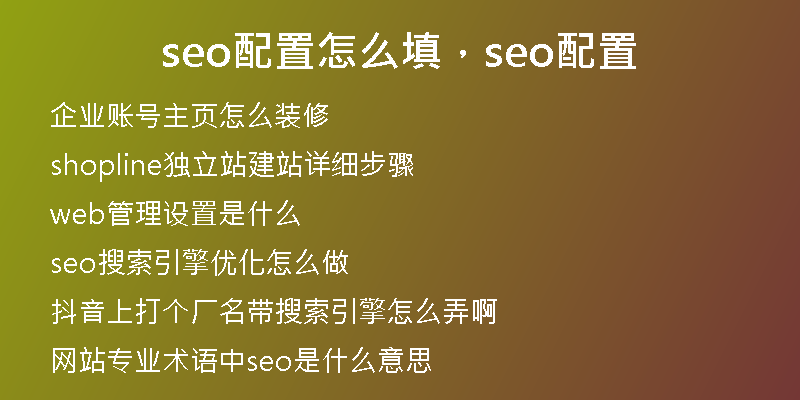 seo配置怎么填，seo配置