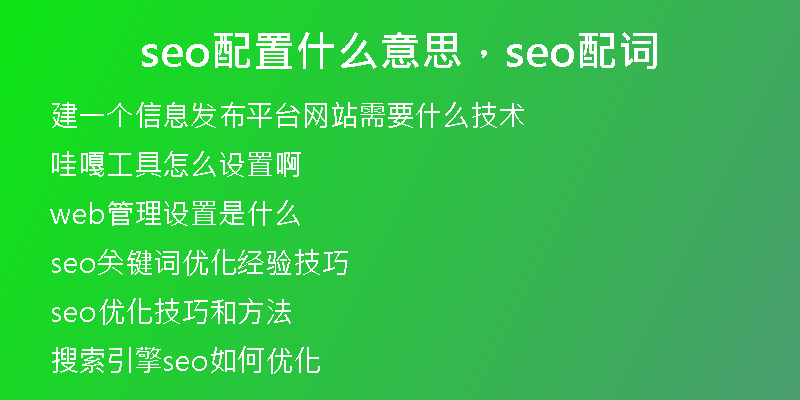 seo配置什么意思，seo配词