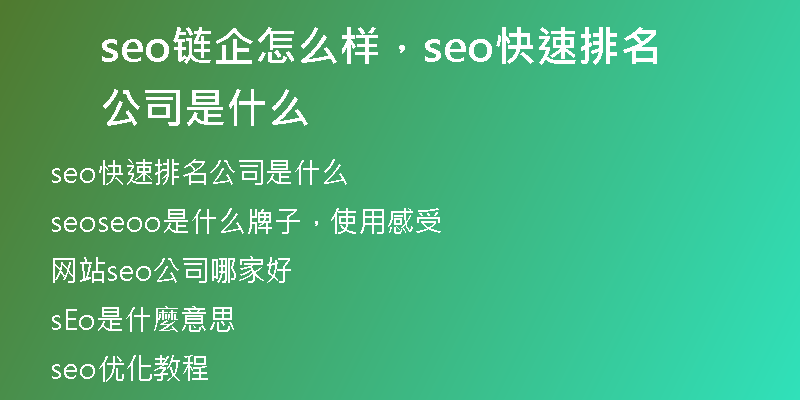 seo链企怎么样，seo快速排名公司是什么