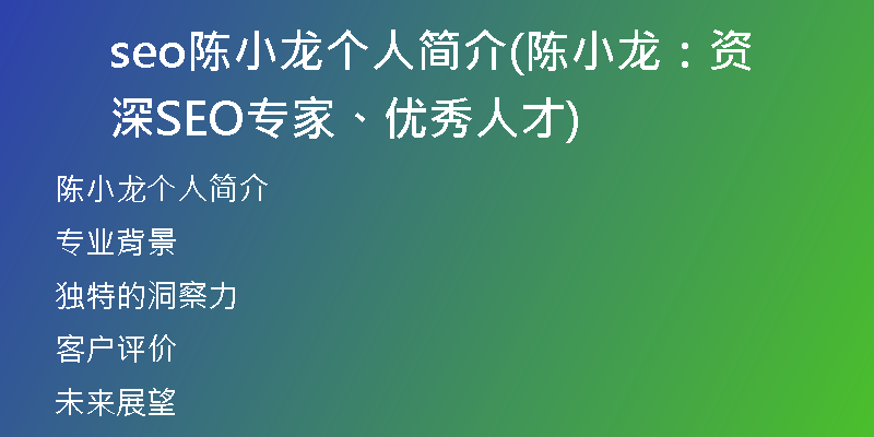 seo陈小龙个人简介(陈小龙:资深SEO专家、优秀人才)