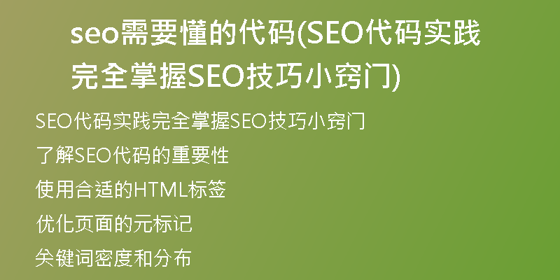 seo需要懂的代码(SEO代码实践完全掌握SEO技巧小窍门)