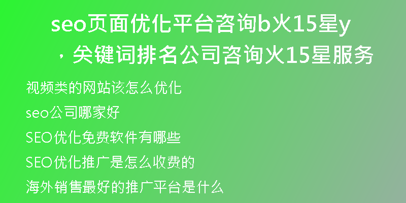 seo页面优化平台咨询b火15星，关键词排名公司咨询y火15星服务