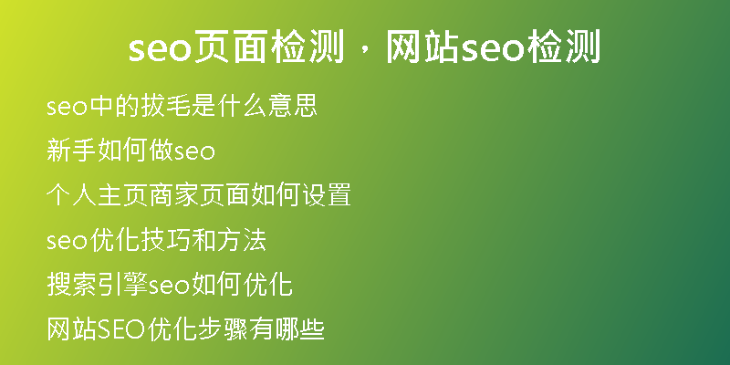 seo页面检测，网站seo检测