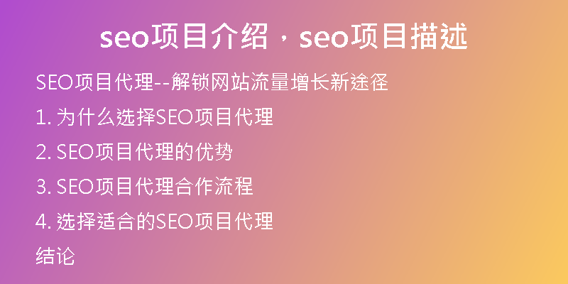 seo项目介绍，seo项目描述