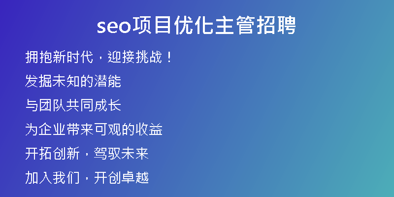 seo项目优化主管招聘