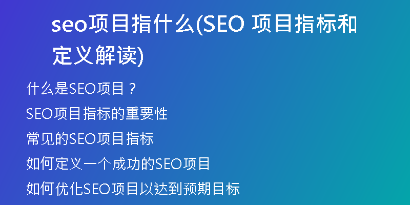 seo项目指什么(SEO 项目指标和定义解读)