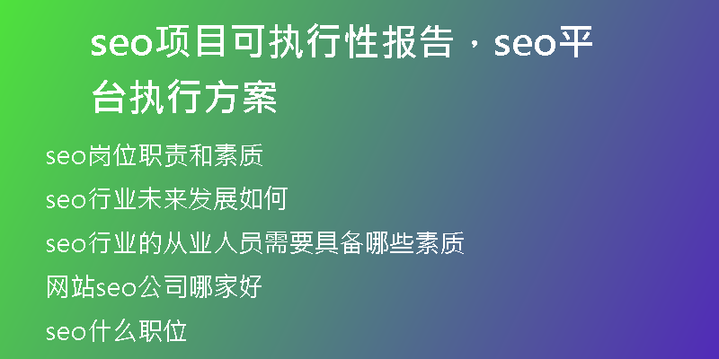 seo项目可执行性报告，seo平台执行方案