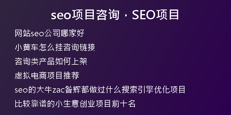 seo项目咨询，SEO项目