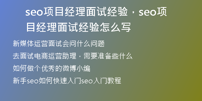 seo项目经理面试经验，seo项目经理面试经验怎么写