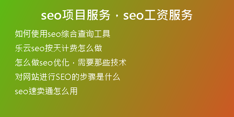 seo项目服务，seo工资服务
