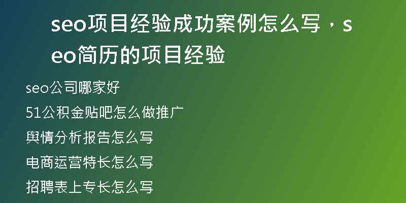 seo项目经验成功案例怎么写，seo简历的项目经验