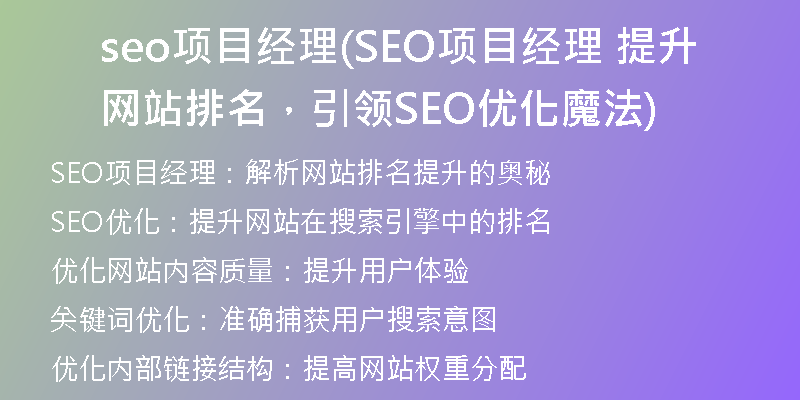 seo项目经理(SEO项目经理 提升网站排名,引领SEO优化魔法)