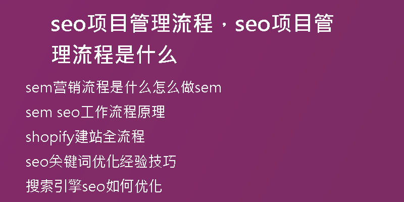 seo项目管理流程，seo项目管理流程是什么