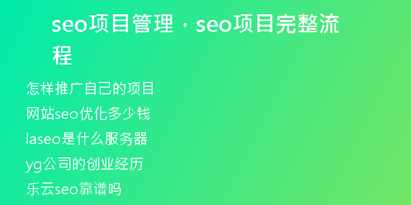 seo项目管理，seo项目完整流程